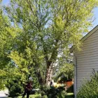 Business 15 image USA SOLUTION Paint Stripping Services in Cincinnati OH