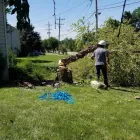 Business 17 image USA SOLUTION Paint Stripping Services in Cincinnati OH