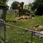 Business 33 image USA SOLUTION Paint Stripping Services in Cincinnati OH