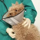 Business 2 image VALLEY DOG AND CAT HOSPITAL Veterinarians in Owings Mills MD