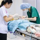 Business 3 image VALLEY DOG AND CAT HOSPITAL Veterinarians in Owings Mills MD