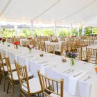 Business 14 image VONDERHAAR’S CATERING, INC. Caterers in Reading OH