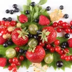 Business 7 image WHOLE MEDICINE: KRISTEN L HARDING, MD Dietitians & Nutritionists in Cincinnati OH