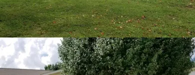 Business 1 image CME PIPE LINING & SEWER REPAIR Drain Sewer Cleaning in Reading OH