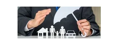 Business 7 image IGM BROKERAGE CORP Insurance Brokers in Bronx NY