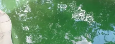 Business 1 image ROSSI POOL SERVICE CINCINNATI LLC Shutdown in Cincinnati OH