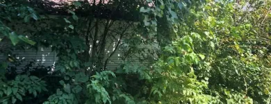 Business 1 image SPIDER TREE SERVICE, INC. Arborists & Tree Surgeons in Hamilton OH