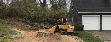 Business 6 image SPIDER TREE SERVICE, INC. Arborists & Tree Surgeons in Hamilton OH