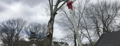 Business 8 image SPIDER TREE SERVICE, INC. Arborists & Tree Surgeons in Hamilton OH