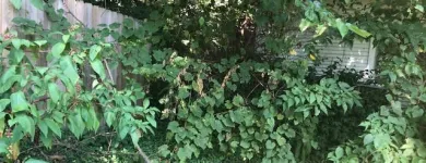 Business 10 image SPIDER TREE SERVICE, INC. Arborists & Tree Surgeons in Hamilton OH