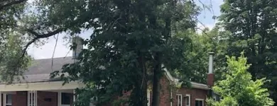 Business 12 image SPIDER TREE SERVICE, INC. Arborists & Tree Surgeons in Hamilton OH