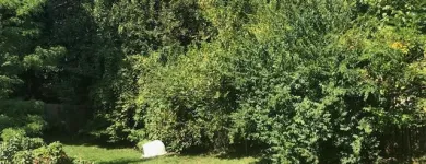 Business 15 image SPIDER TREE SERVICE, INC. Arborists & Tree Surgeons in Hamilton OH