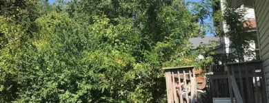 Business 16 image SPIDER TREE SERVICE, INC. Arborists & Tree Surgeons in Hamilton OH
