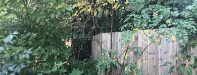Business 17 image SPIDER TREE SERVICE, INC. Arborists & Tree Surgeons in Hamilton OH