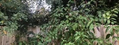 Business 18 image SPIDER TREE SERVICE, INC. Arborists & Tree Surgeons in Hamilton OH