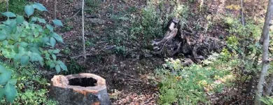 Business 19 image SPIDER TREE SERVICE, INC. Arborists & Tree Surgeons in Hamilton OH