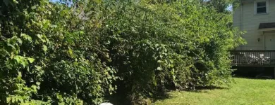 Business 20 image SPIDER TREE SERVICE, INC. Arborists & Tree Surgeons in Hamilton OH