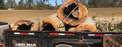 Business 21 image SPIDER TREE SERVICE, INC. Arborists & Tree Surgeons in Hamilton OH