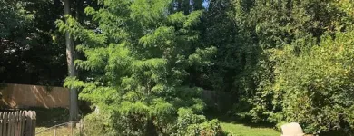 Business 22 image SPIDER TREE SERVICE, INC. Arborists & Tree Surgeons in Hamilton OH