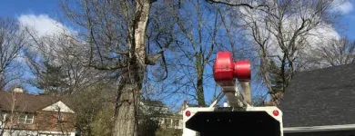 Business 31 image SPIDER TREE SERVICE, INC. Arborists & Tree Surgeons in Hamilton OH