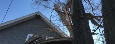 Business 33 image SPIDER TREE SERVICE, INC. Arborists & Tree Surgeons in Hamilton OH