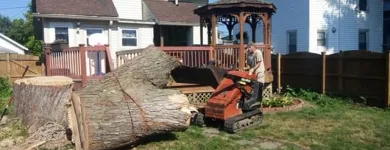 Business 34 image SPIDER TREE SERVICE, INC. Arborists & Tree Surgeons in Hamilton OH