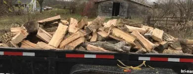 Business 35 image SPIDER TREE SERVICE, INC. Arborists & Tree Surgeons in Hamilton OH