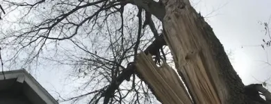 Business 37 image SPIDER TREE SERVICE, INC. Arborists & Tree Surgeons in Hamilton OH