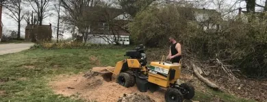 Business 41 image SPIDER TREE SERVICE, INC. Arborists & Tree Surgeons in Hamilton OH