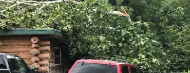 Business 44 image SPIDER TREE SERVICE, INC. Arborists & Tree Surgeons in Hamilton OH