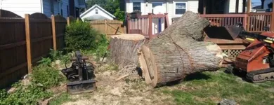 Business 45 image SPIDER TREE SERVICE, INC. Arborists & Tree Surgeons in Hamilton OH