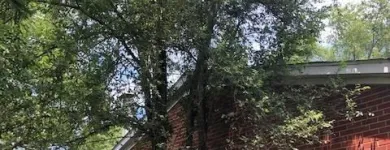 Business 47 image SPIDER TREE SERVICE, INC. Arborists & Tree Surgeons in Hamilton OH