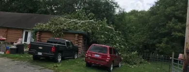 Business 51 image SPIDER TREE SERVICE, INC. Arborists & Tree Surgeons in Hamilton OH