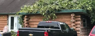 Business 52 image SPIDER TREE SERVICE, INC. Arborists & Tree Surgeons in Hamilton OH