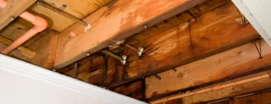 Business 2 image THOMPSON RESTORATION Fire & Water Damage Restoration in Fort Thomas KY
