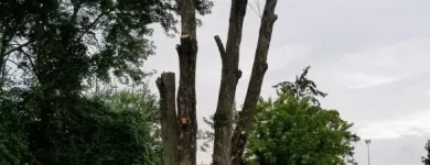 Business 5 image USA SOLUTION Paint Stripping Services in Cincinnati OH