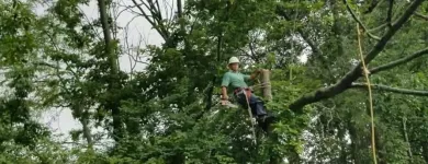 Business 9 image USA SOLUTION Paint Stripping Services in Cincinnati OH