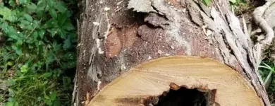 Business 14 image USA SOLUTION Paint Stripping Services in Cincinnati OH