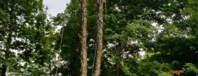 Business 23 image USA SOLUTION Paint Stripping Services in Cincinnati OH