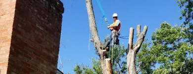 Business 32 image USA SOLUTION Paint Stripping Services in Cincinnati OH