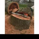SPIDER TREE SERVICE, INC. Arborists & Tree Surgeons in Hamilton OH